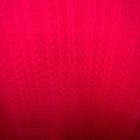 Fuchsia Pink Talbots Allover Cable V-neck Pullover Knit Sweater size 1X - Picture 5 of 5